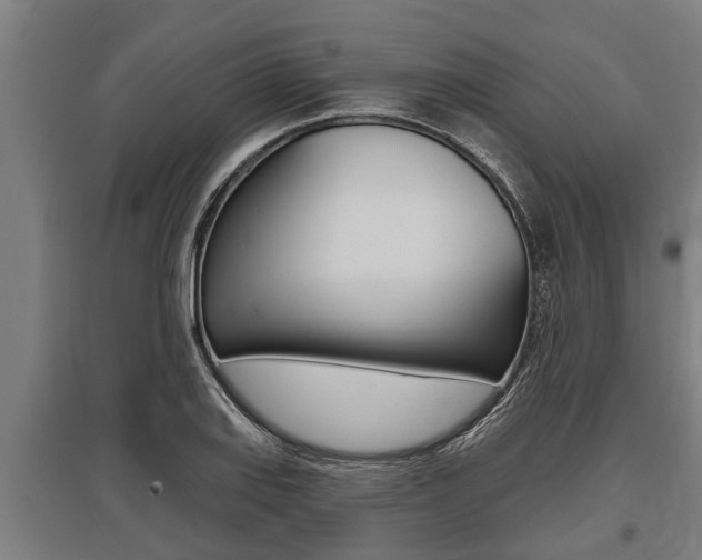 X0000096131127200801180823