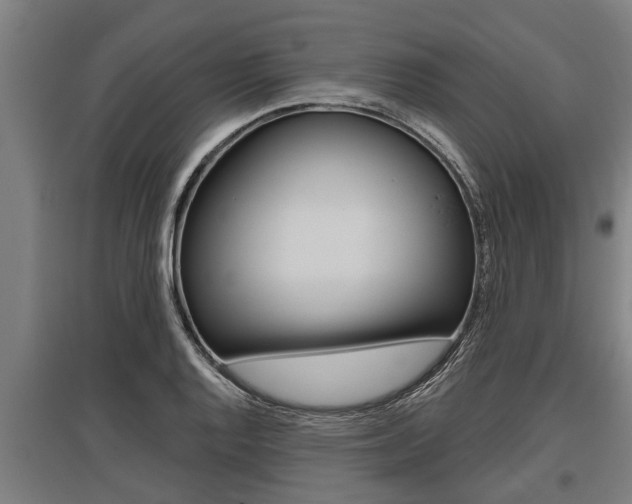 X0000096131128200801180823