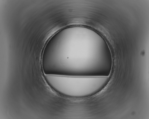 X0000096131129200801180823