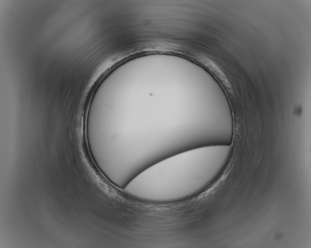 X0000096131130200801180823
