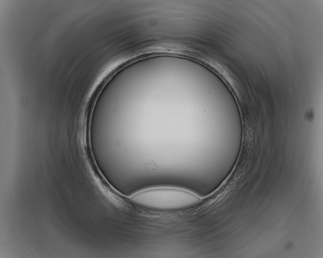 X0000096131131200801180823