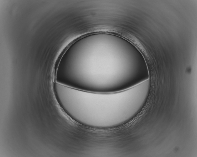 X0000096131132200801180823