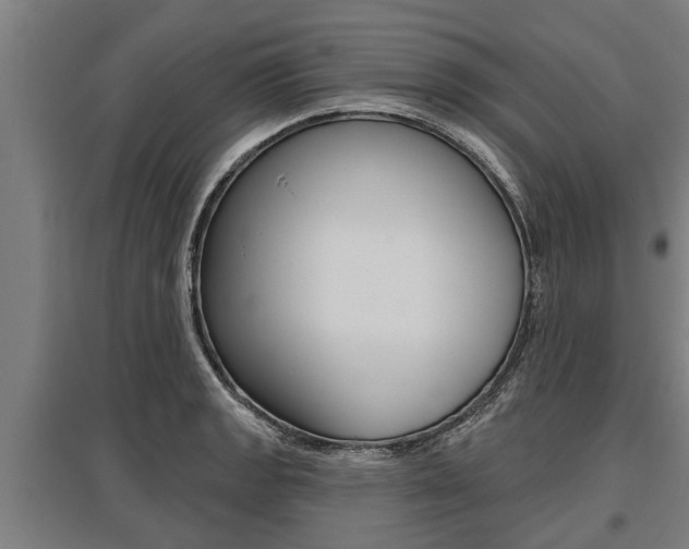 X0000096131133200801180823