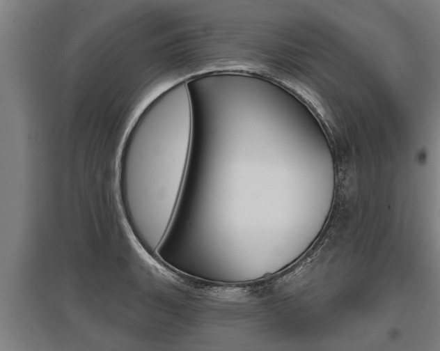 X0000096131135200801180823