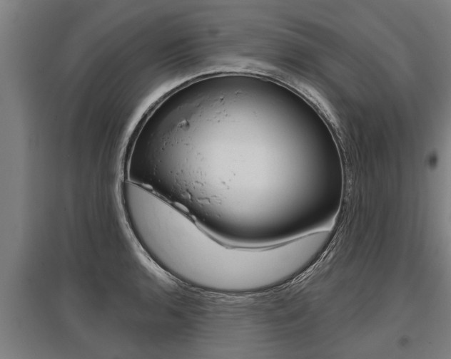 X0000096131136200801180823