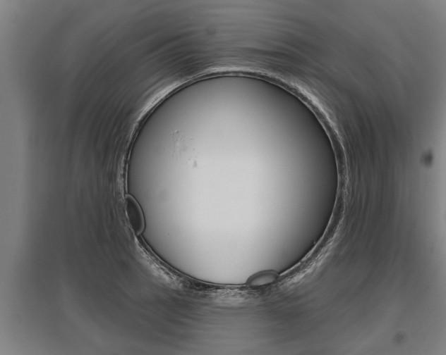 X0000096131137200801180823