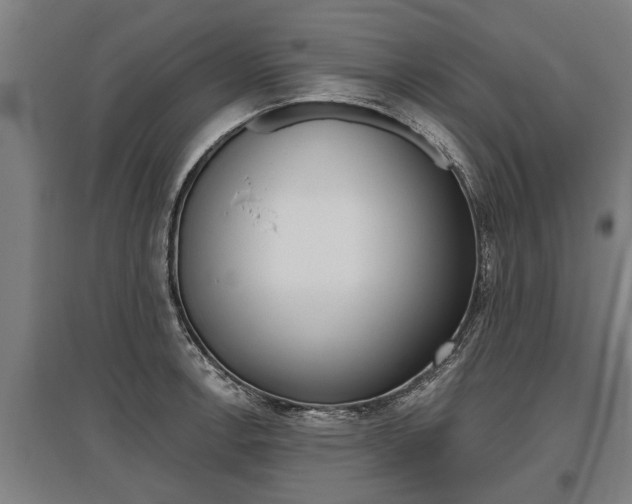 X0000096131138200801180823