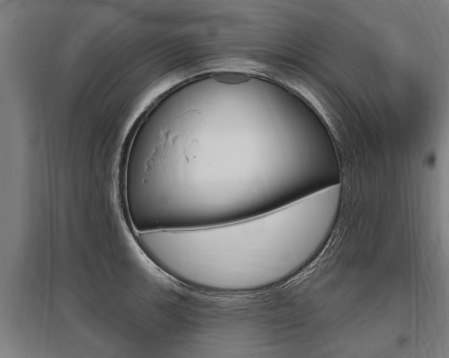 X0000096131139200801180823