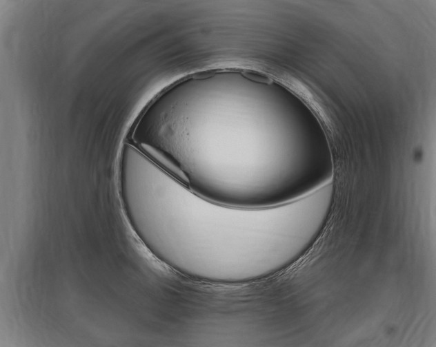 X0000096131140200801180823
