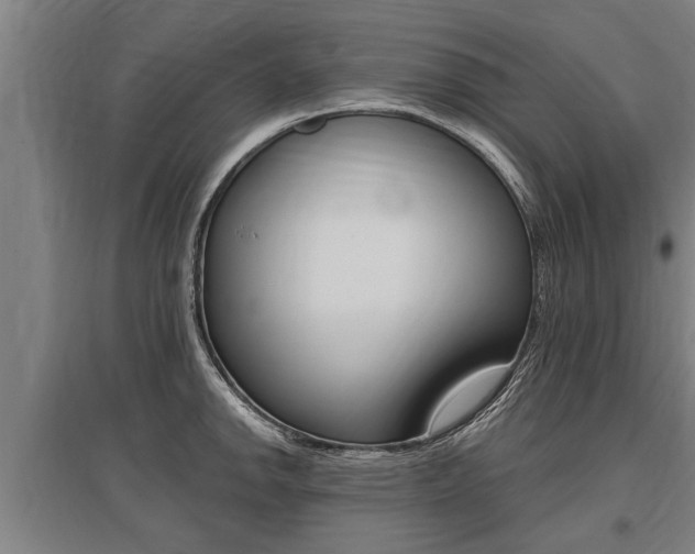 X0000096131142200801180823