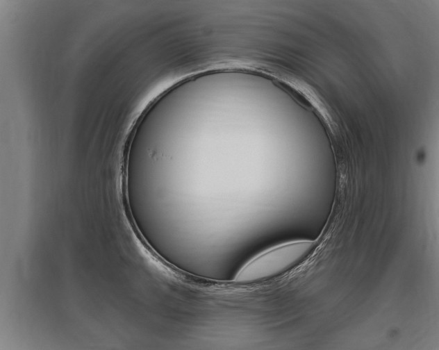 X0000096131143200801180823