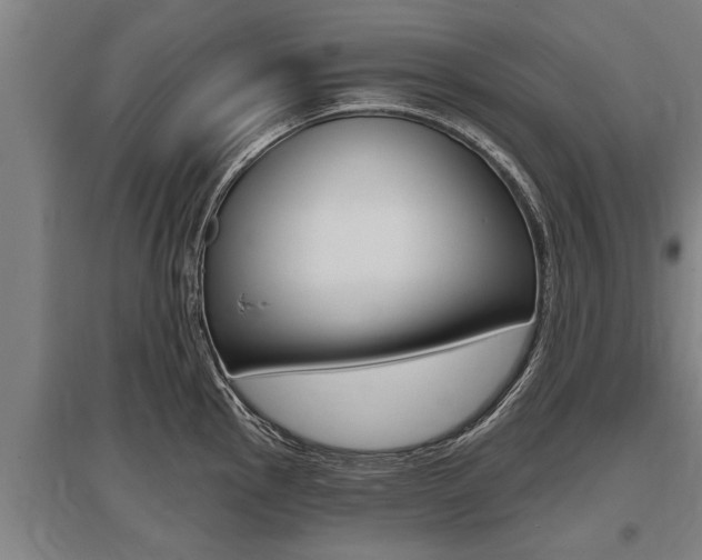 X0000096131145200801180823