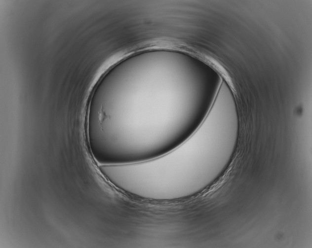 X0000096131146200801180823