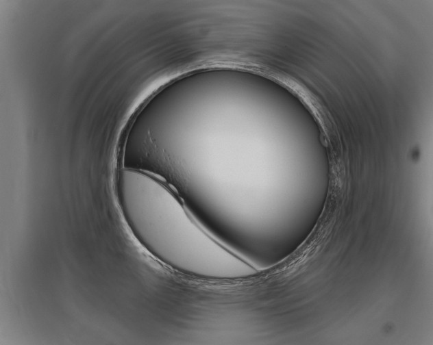 X0000096131147200801180824