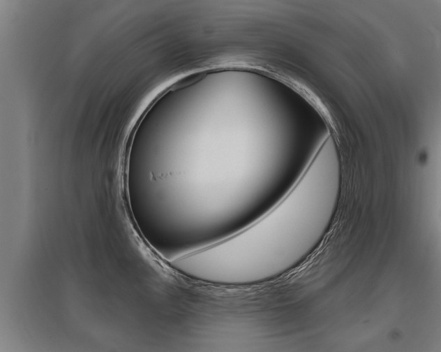 X0000096131148200801180824