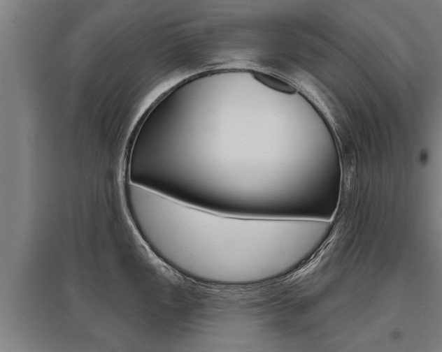 X0000096131149200801180824