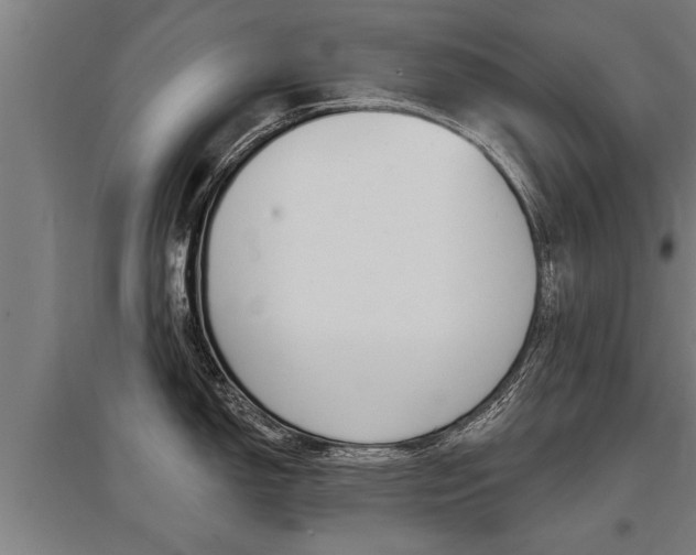 X0000096131150200801180824