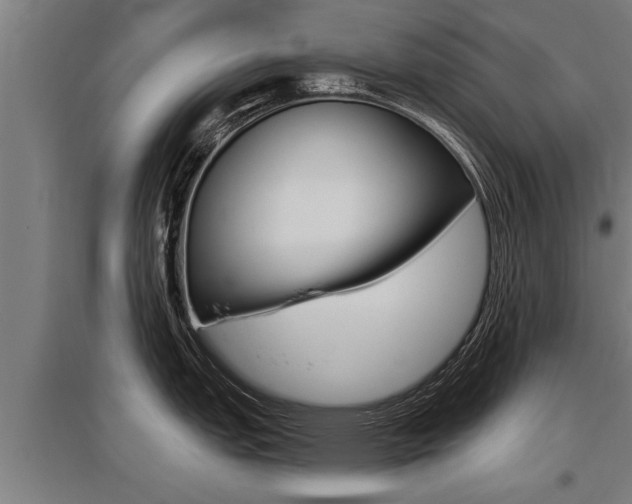 X0000096131151200801180824