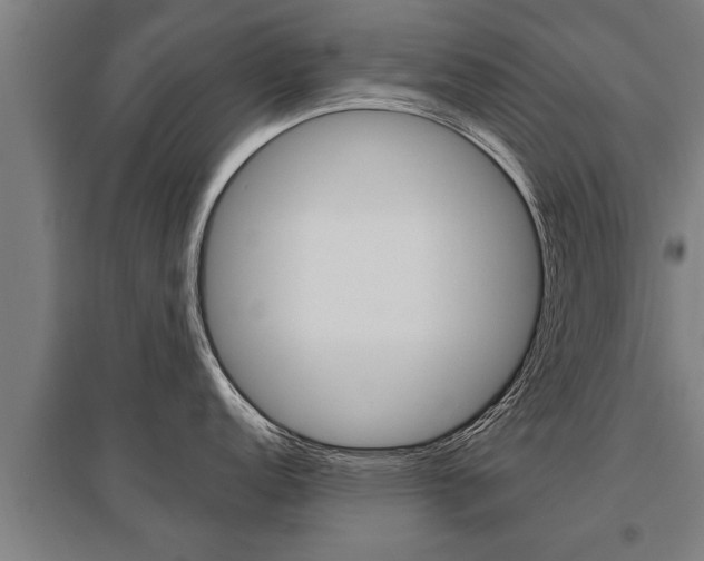 X0000096131152200801180824