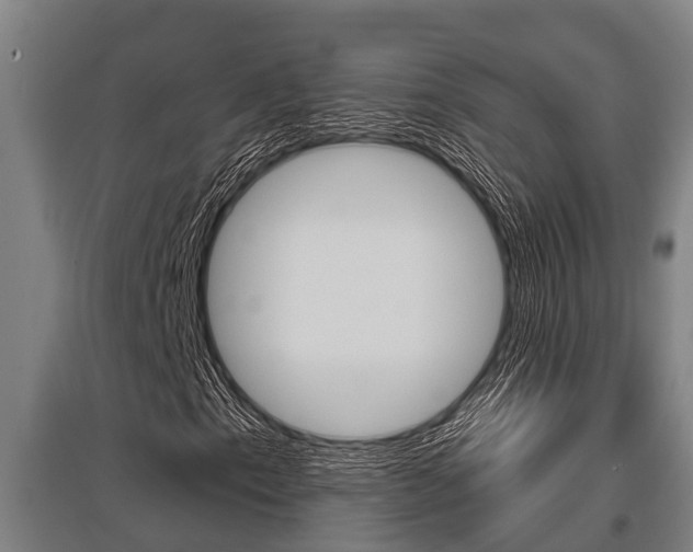 X0000096131153200801180823