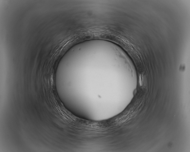 X0000096131155200801180823