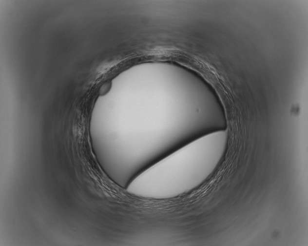 X0000096131158200801180823