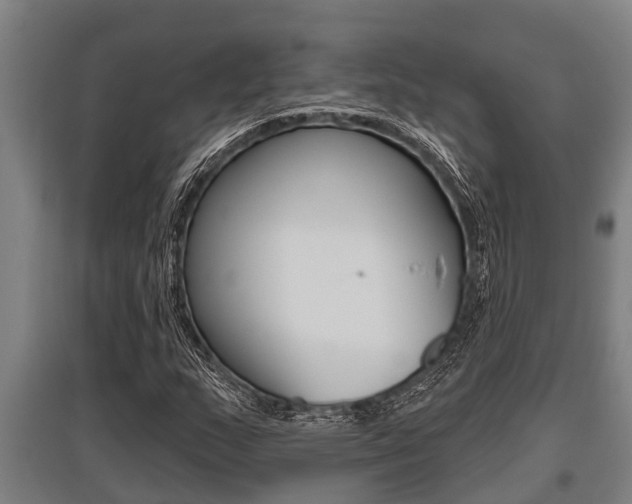 X0000096131159200801180823