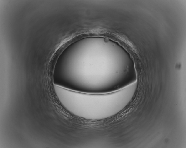 X0000096131160200801180823
