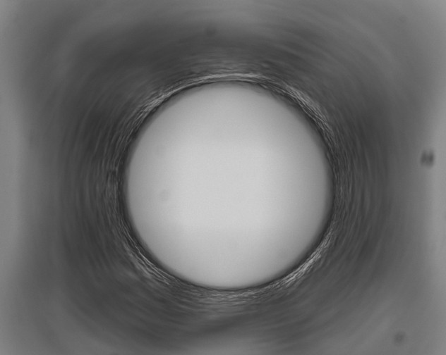 X0000096131161200801180823