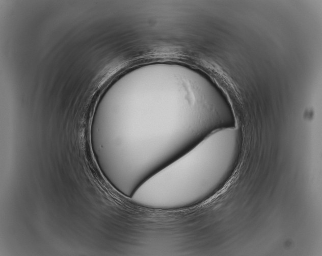 X0000096131162200801180823