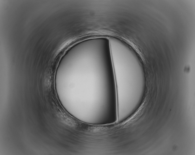 X0000096131163200801180823