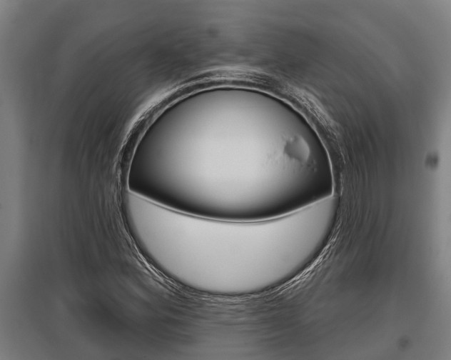 X0000096131164200801180823