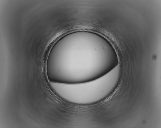 X0000096131165200801180823