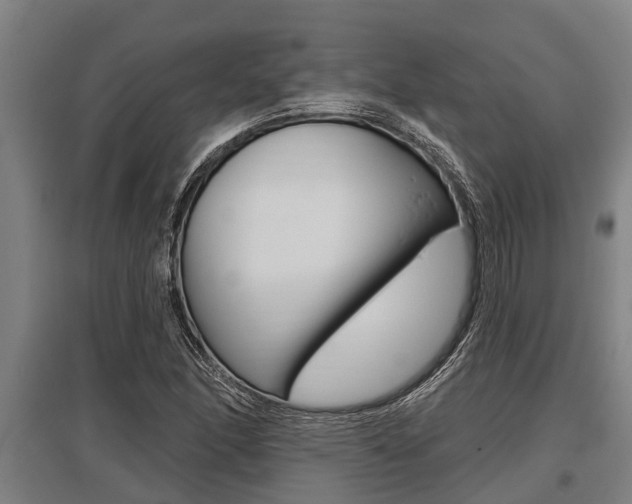 X0000096131166200801180823