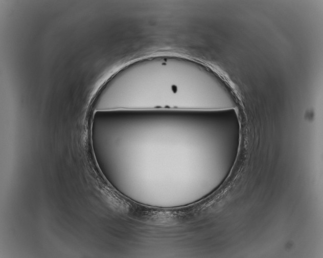 X0000096131167200801180823