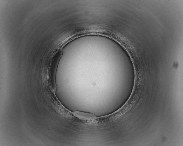 X0000096131169200801180823