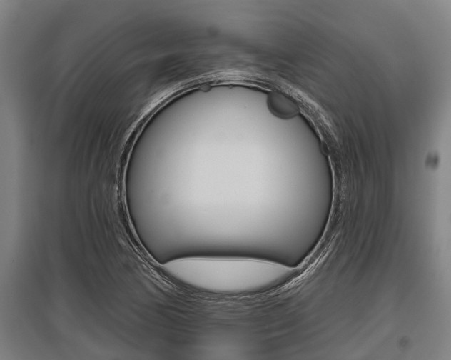 X0000096131170200801180823