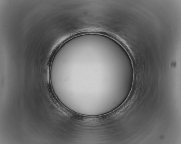 X0000096131171200801180823