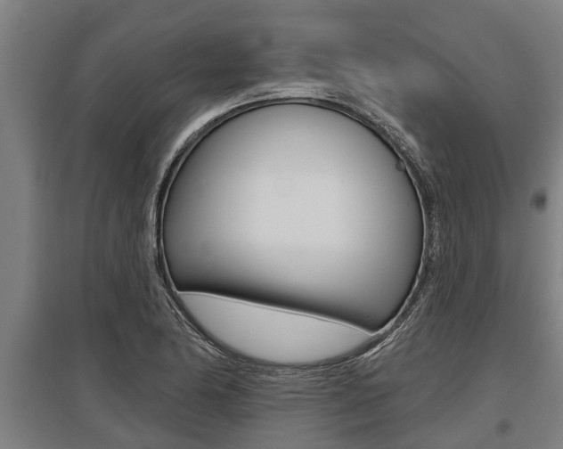 X0000096131174200801180822