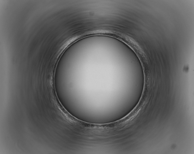 X0000096131177200801180822