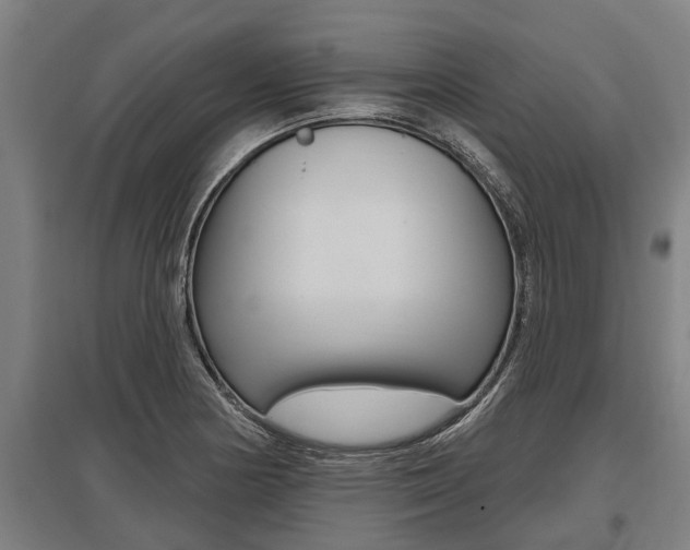 X0000096131178200801180822
