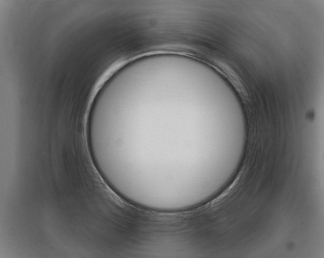X0000096131180200801180822