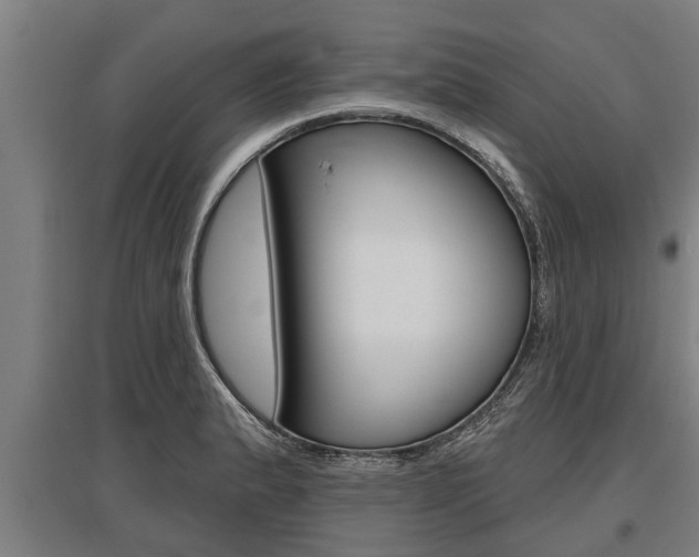 X0000096131183200801180822