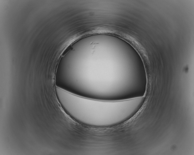 X0000096131185200801180822