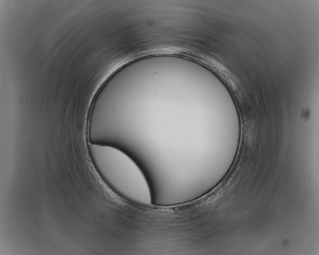 X0000096131186200801180822