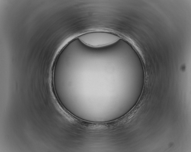 X0000096131187200801180822