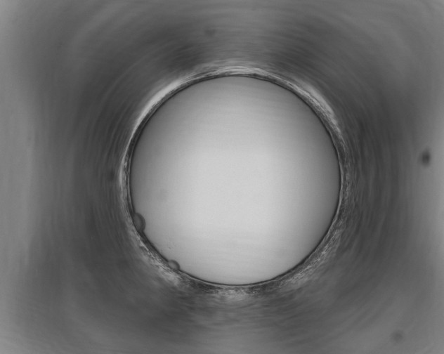 X0000096131190200801180822