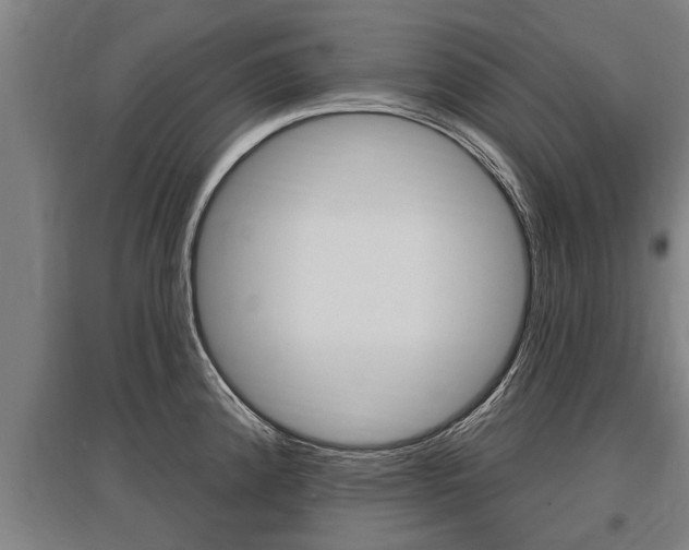 X0000096131192200801180822
