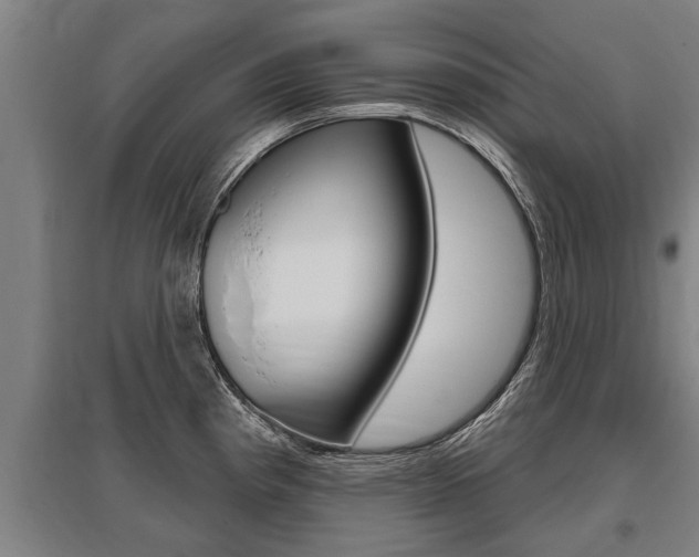 X0000096131193200801180822