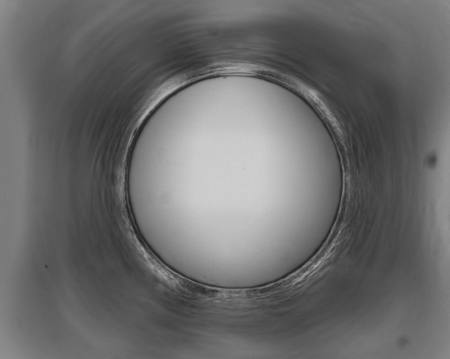 X0000096131194200801180822
